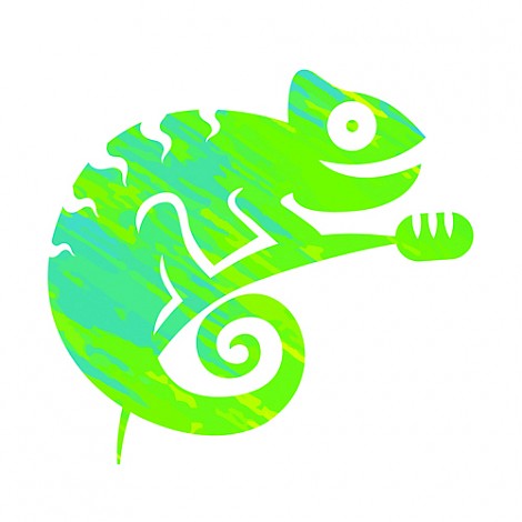 Chameleon Music Marketing Ltd